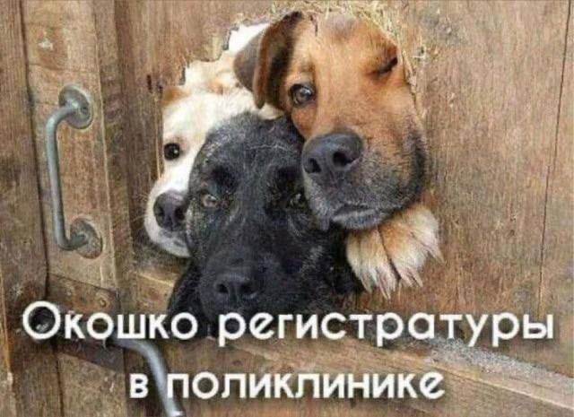 ������ ����� � ���� �� ���� (15 ����)