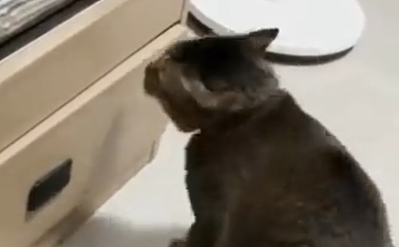 ����� � ����� ������ ����� (�����)