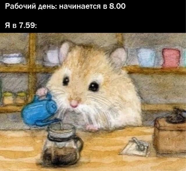 ������� �������� (15 ����)