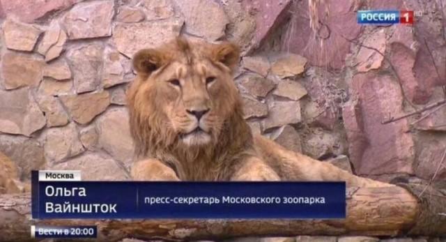 ������ ����� � ���� �� ���� (15 ����)