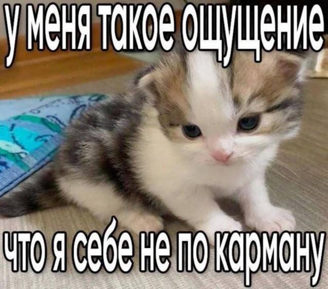 ������� �������� (15 ����)