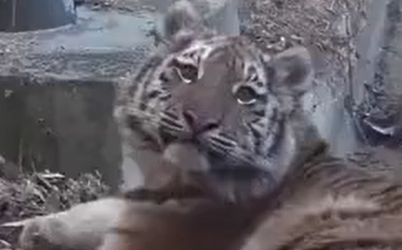 ����� � ���� ����? (�����)