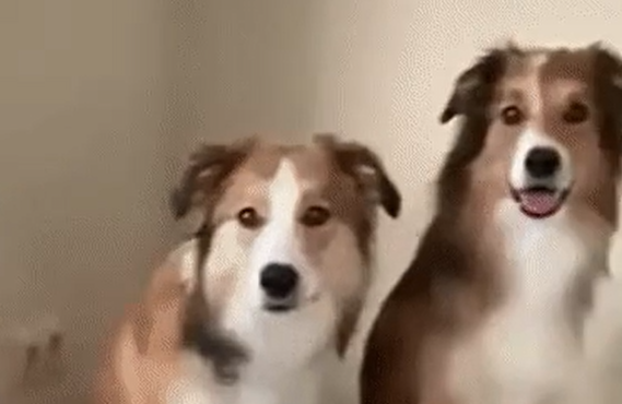 �������? (�����)