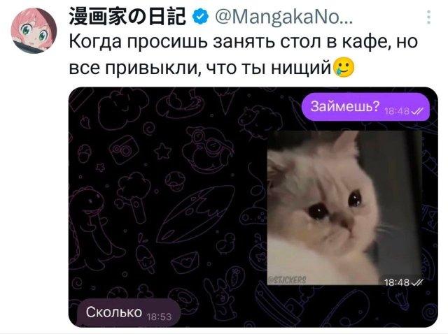 �������� �������� ������ ��� ���� (15 ����)