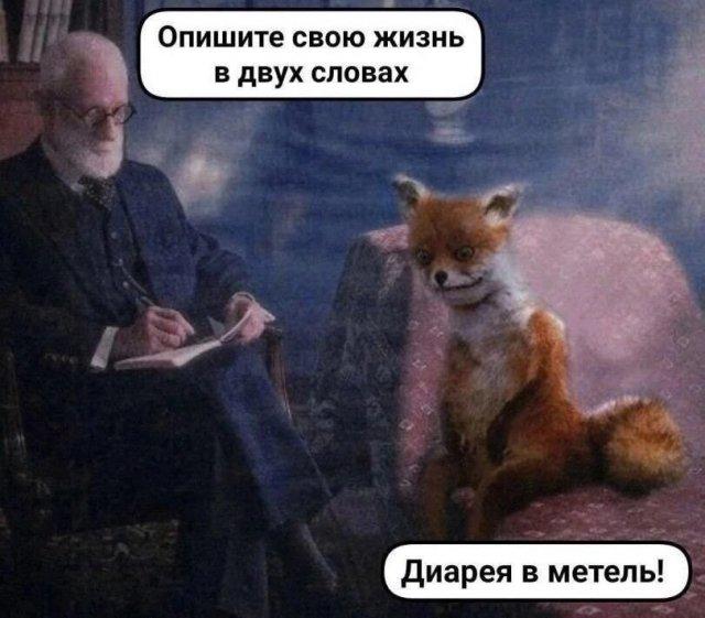 ������� ���� (15 ����)