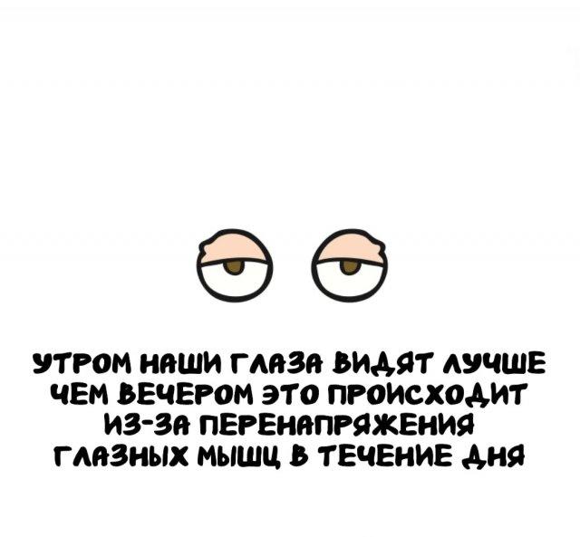 ���������� ����� �� ��� ������ ����� (15 ����)