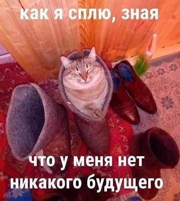 ������� �������� (15 ����)