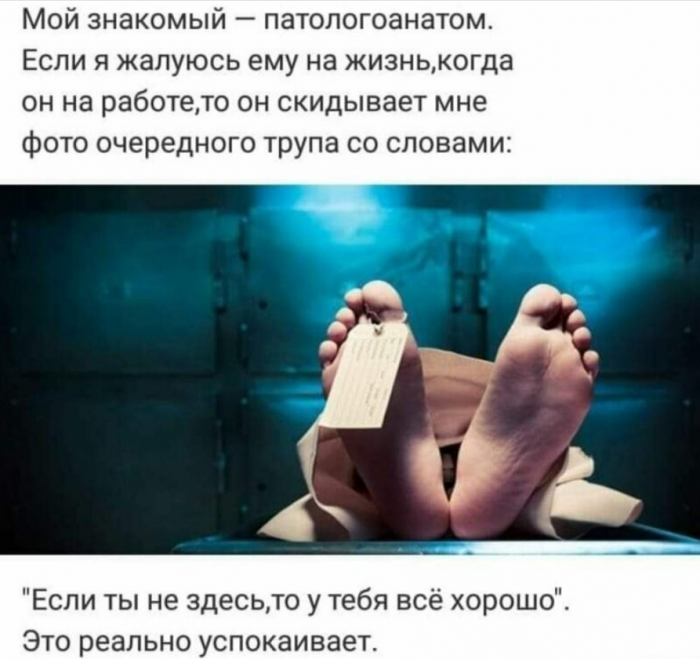 �������� ���������� ���� �4006 (30 ����)