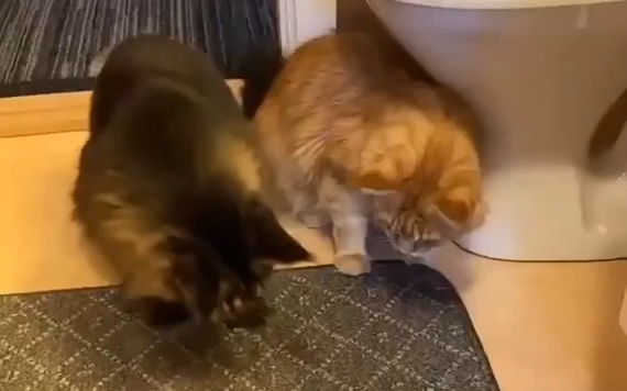 ��� ����� ������� ����� �� 6 ������... (�����)