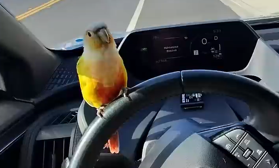 ������� ������� �������� �� ������������� ���� (�����)