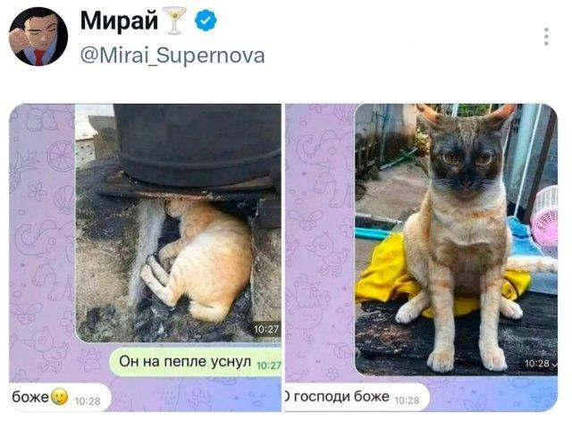 �������� �������� ������ ��� ���� (15 ����)