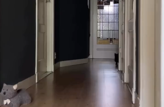 ��������� �������� �������� (�����)