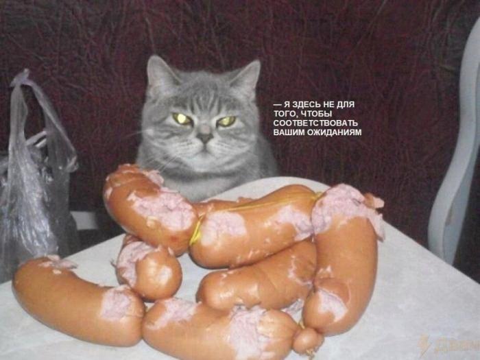 ������� �������� (15 ����)