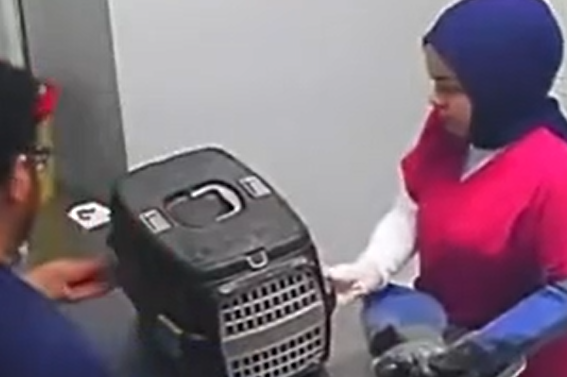 ��������� ������ (�����)