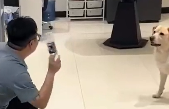 ��������� � ��������� (�����)