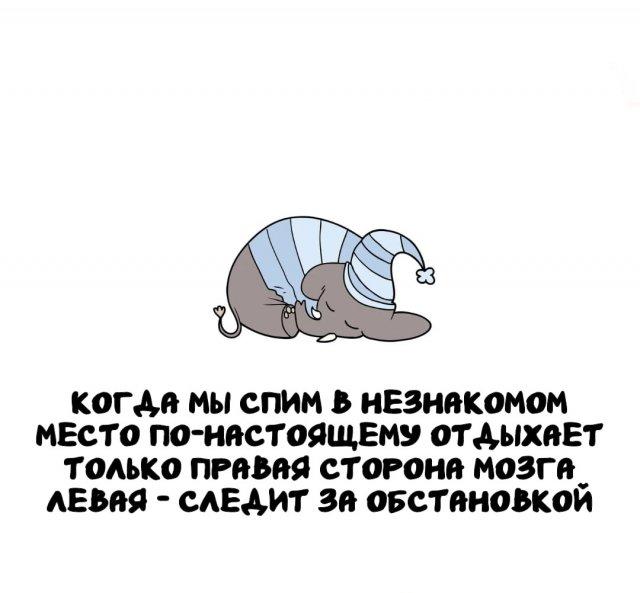 ���������� ����� �� ��� ������ ����� (15 ����)
