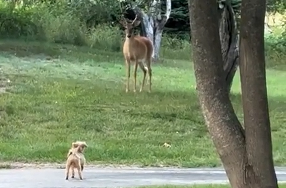 ������ ����� ����� ��������� � ��������� ������� (�����)