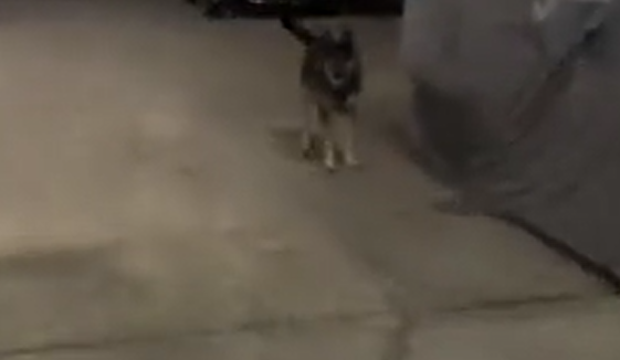 �� ��� ��� ������ ������? � ������� �� ������� ��� ������...� (�����)