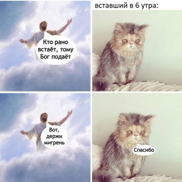������� �������� (15 ����)