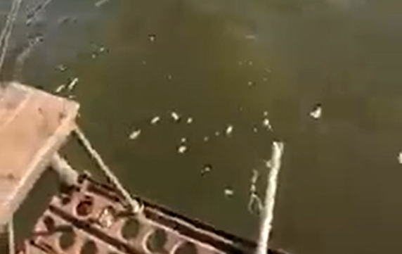 �� ����� ������? (�����)