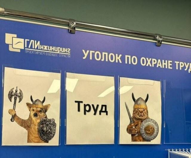 ������� �������� (15 ����)