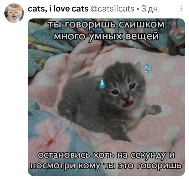 �������� �������� ������ ��� ���� (15 ����)