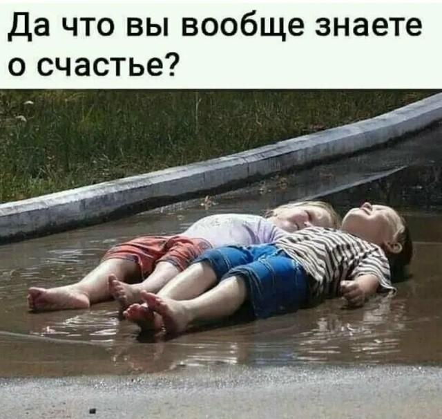 ������� �������� (15 ����)