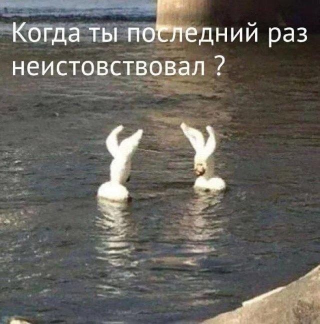 ������ ����� � ���� �� ���� (15 ����)