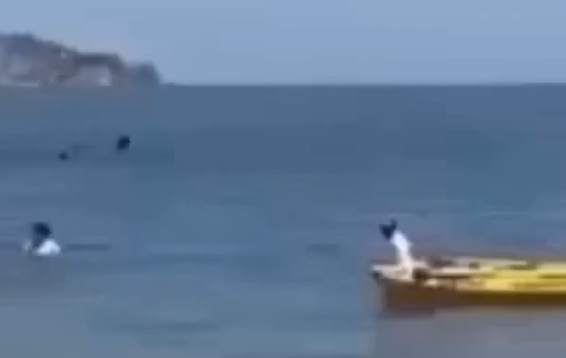 ���! (�����)
