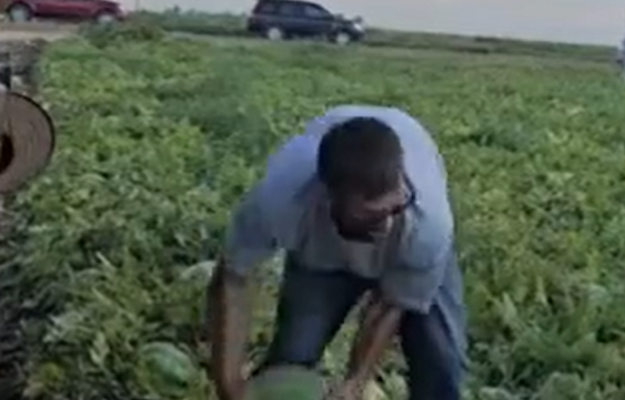 � ����� ������ ����� ������! (�����)