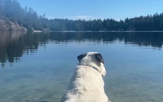 ���� ��� ��� ��������� �������... (�����)