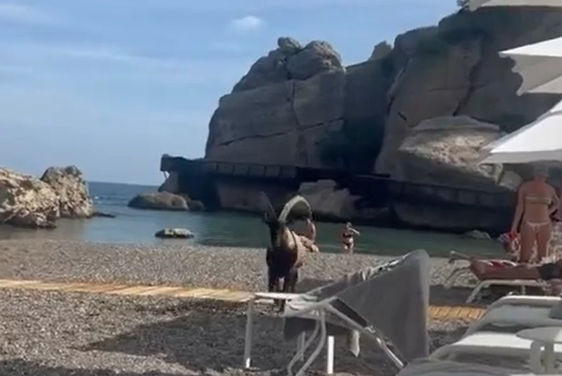 � ������ ������ ����� ������� ��� � �������� �� ������� ������� (�����)