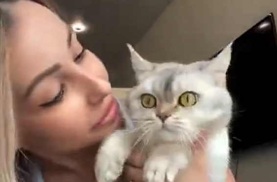 ������ ������ (�����)