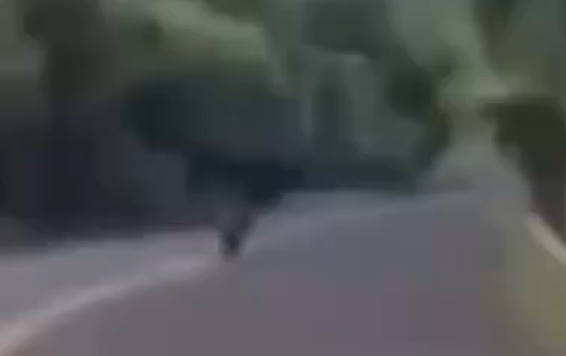 ׸��� ���! (�����)