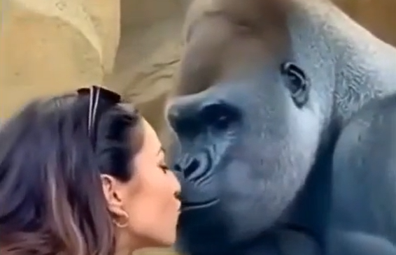 �� ����� ������ ���, ��� ������ �� ����, ����� ������� ���... (�����)