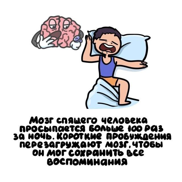 ���������� ����� �� ��� ������ ����� (15 ����)