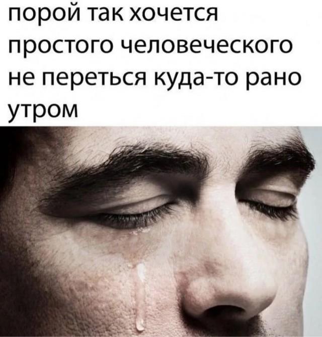 �������� ���������� ���� �4016 (30 ����)