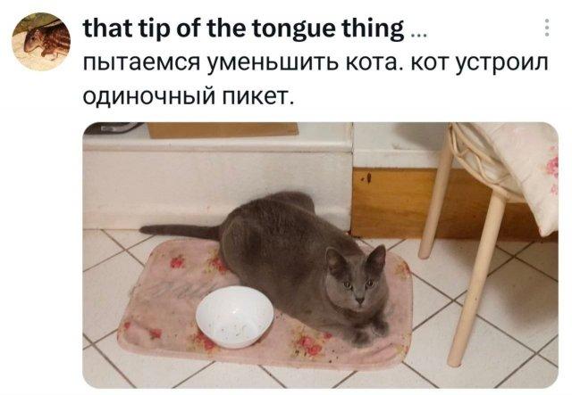 �������� �������� ������ ��� ���� (15 ����)