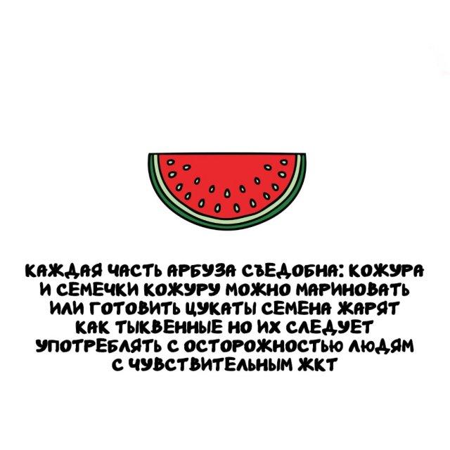 ���������� ����� �� ��� ������ ����� (15 ����)