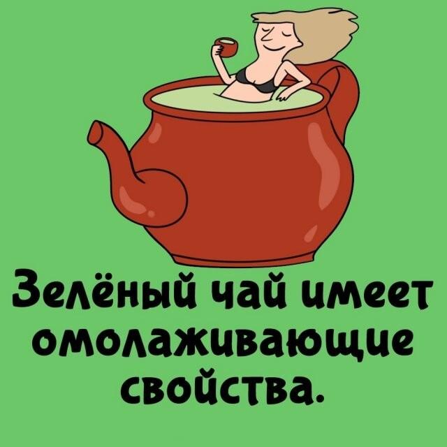 ���������� ����� �� ��� ������ ����� (15 ����)