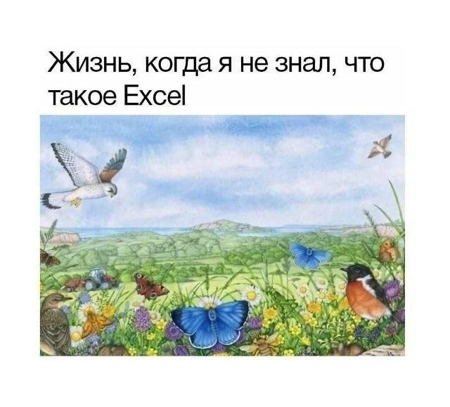 ������� �������� (15 ����)