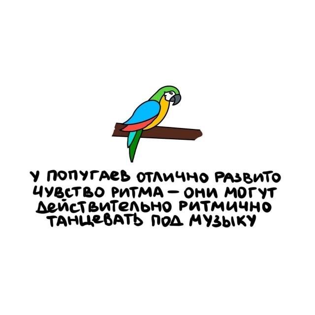 ���������� ����� �� ��� ������ ����� (15 ����)