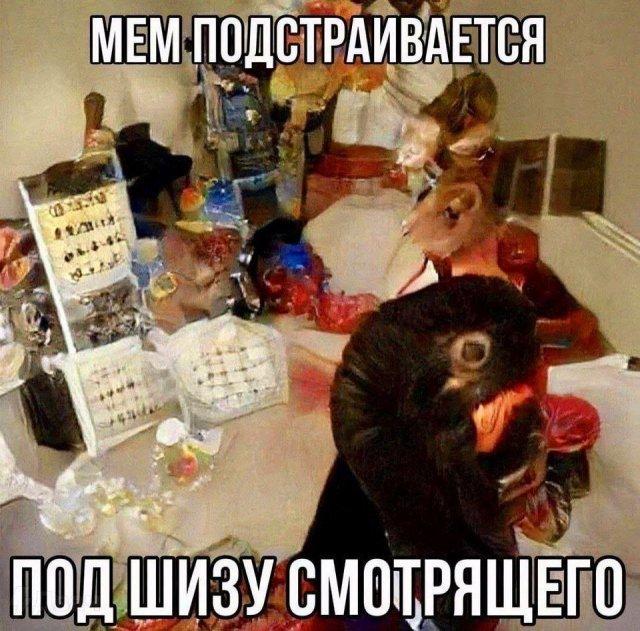 ������� ���� (15 ����)