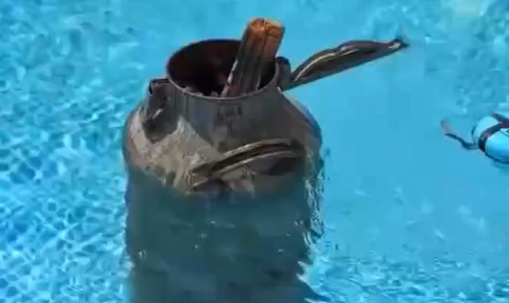 � ��� ��� ����� ����? (�����)