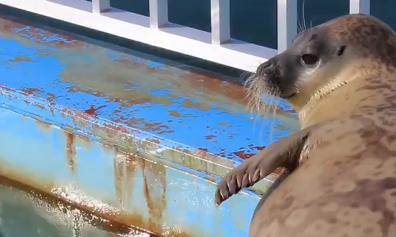 �������� �� ���������� ����� (�����)