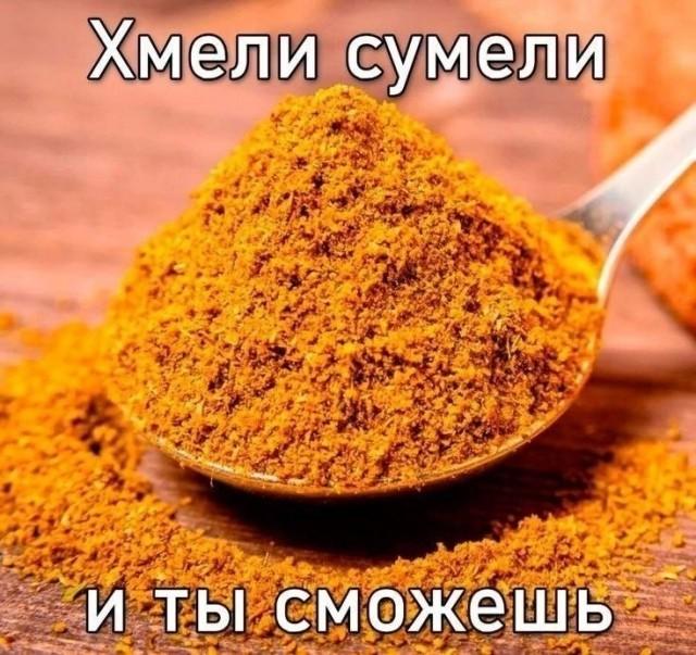 ������� �������� (15 ����)