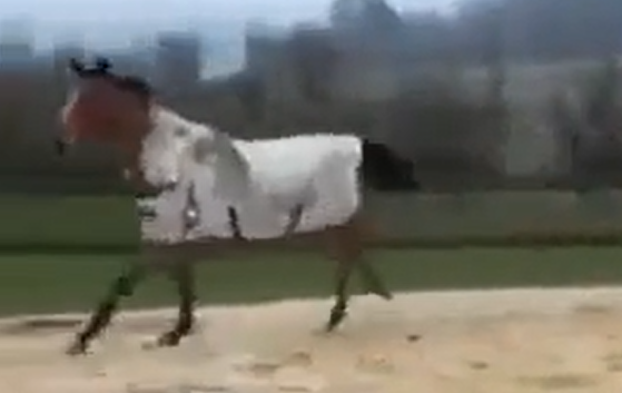 � ���� ��� ���� (�����)