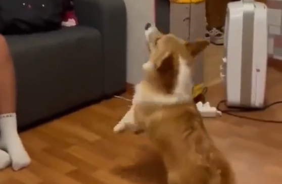 �� ��� ����� � ��� � ��� �������? (�����)