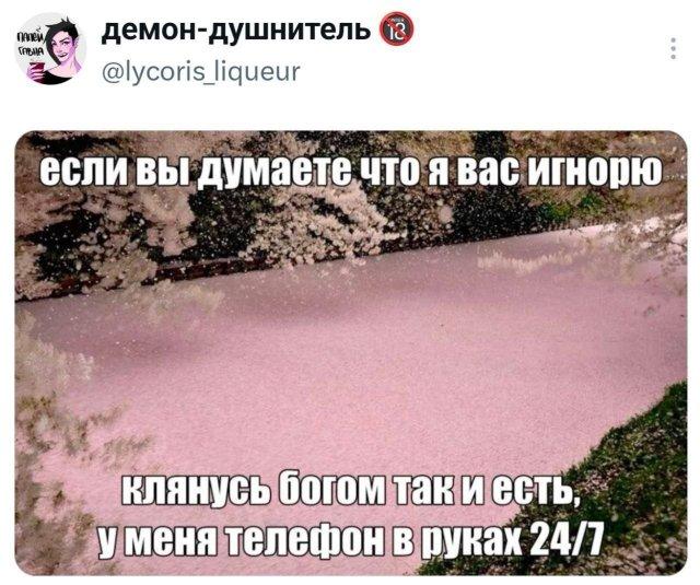 �������� �������� ������ ��� ���� (15 ����)