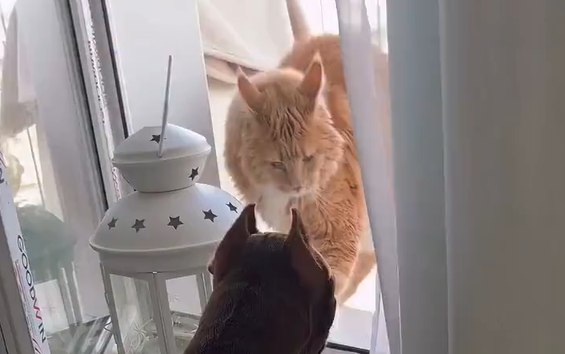 ��� ������ (2 �����)